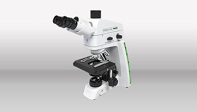 csm_EUROStar4Plus_teaser_07de73e53a